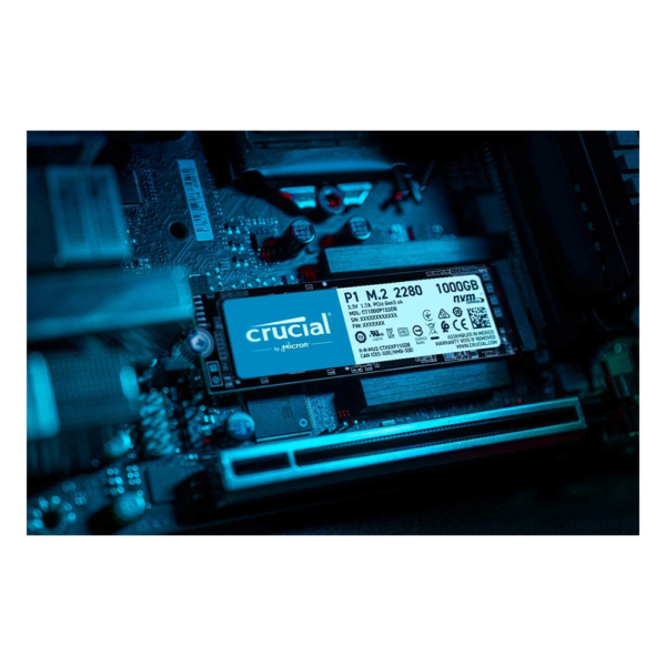 Crucial Internal SSD CT1000P1SSD8-alameen computers