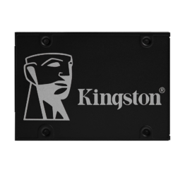 Kingston SATA SSD SKC600256G01-alameencomputers