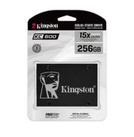 Kingston SATA SSD SKC600256G04-alameen computers